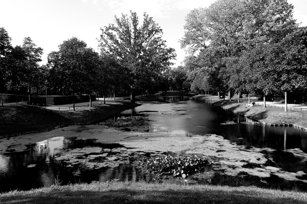 Park